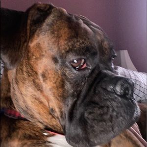 Meet your Posher, Lorraine